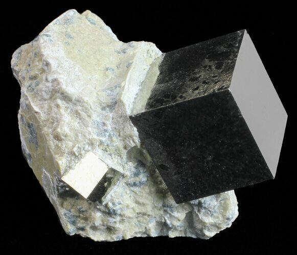 Golden Pyrite Cube In Rock - Navajun, Spain #57763